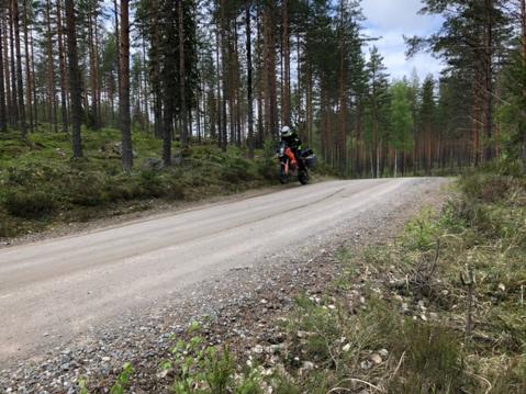 Keski-Suomen soratiet tarjoilevat lukemattoman määrän nyppyjä, joissa etupyörä kevenee huomaamatta. Tässä näyte Päijälästä. Kuva Tomi Iso-Kuortti