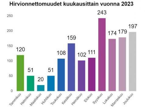 Hirvionnettomuudet kuukausittain 2023. Kolareiden määrän huippu on syyskuussa, mutta pysyy koholla loppuvuoden.