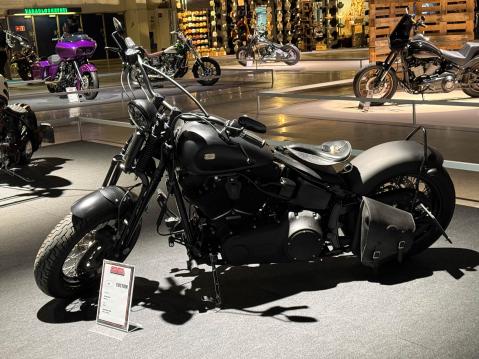 122 Custom H-D Crossbones vm. 2009 Rakentaja Artmotor Oy