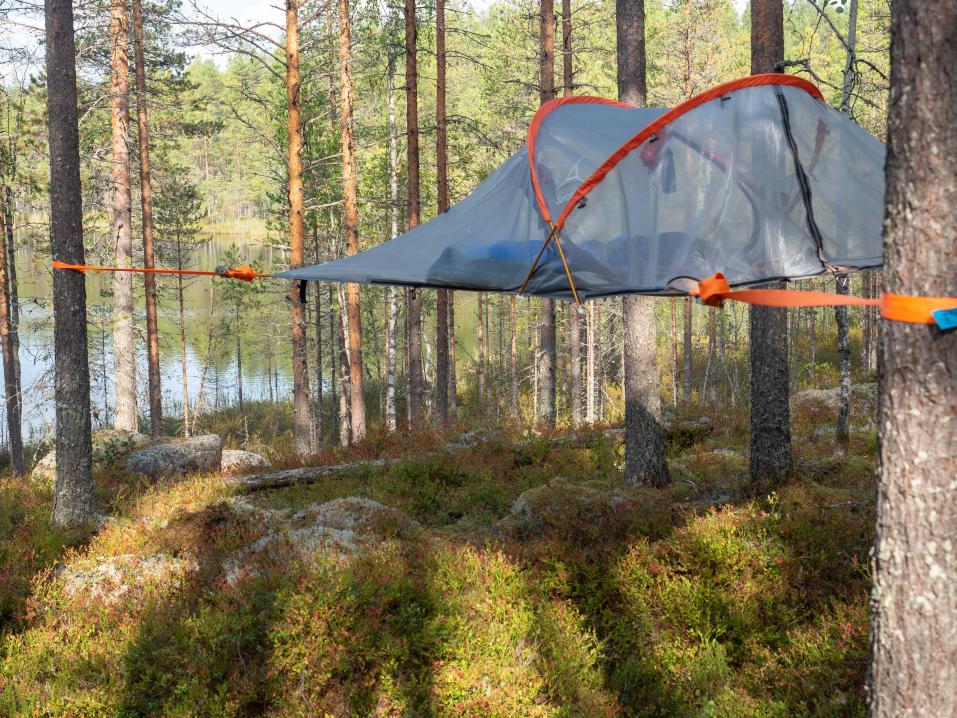 Testissä Tentsile puumajoite - elämyksellinen yöpyminen ilmassa pitää suun  messingillä | Varusteet | Motouutiset