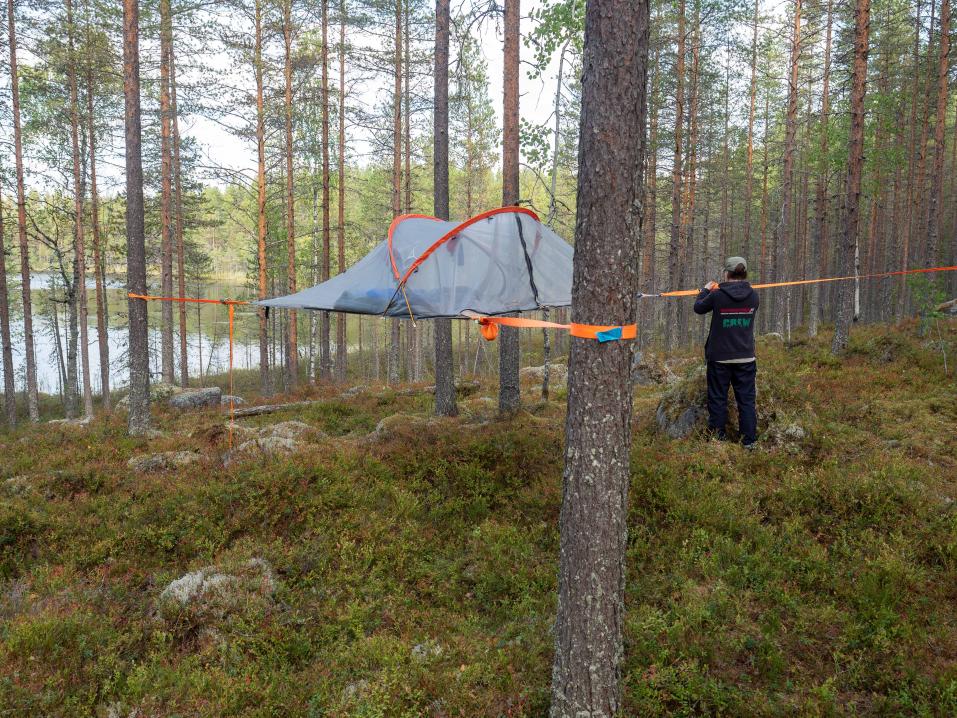 Testissä Tentsile puumajoite - elämyksellinen yöpyminen ilmassa pitää suun  messingillä | Varusteet | Motouutiset