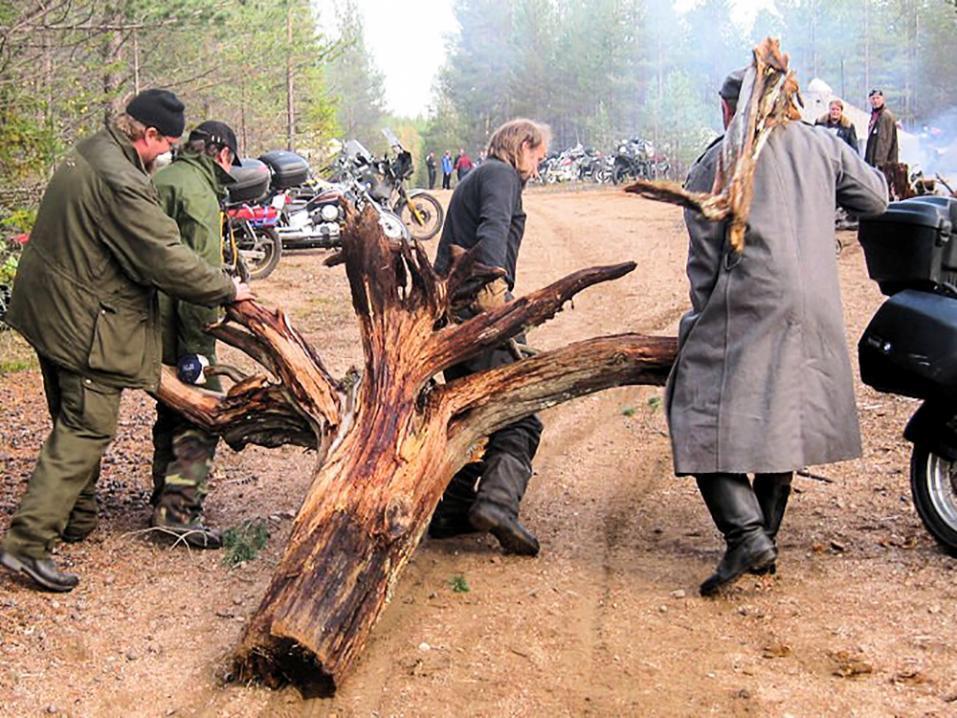 Pohjoisen Pystymettä muutama vuosi sitten. Kuva: Jarkko Laukkanen.