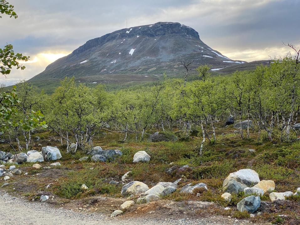 Kuva kesäkuu 2021: Saana-tunturi Kilpisjärvellä. Kuva Erkki Mäki / Motouutiset.fi.