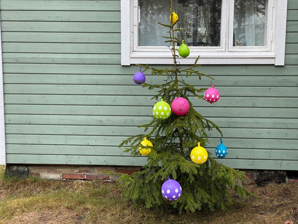 Hauskaa Vappua kaikille lukijoillemme tämän hienon Vappukuusen myötä. Toivoo Motouutisten toimitus ja avustajat ja varmaan Jaskakin.